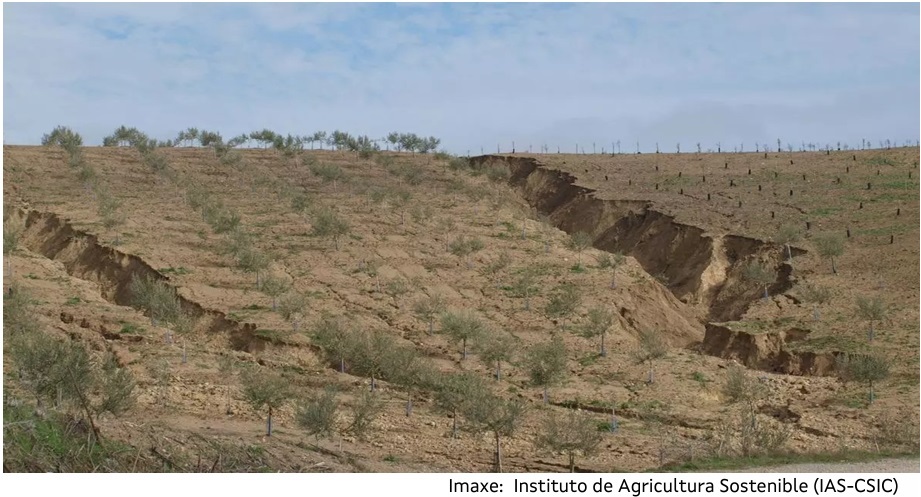 Ejercicio geografía Galicia 2024